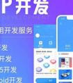 企業(yè)在開發(fā)APP應(yīng)用之前必想的5個(gè)因素